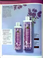 My Avon magazine c6 2026 43