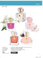 Avon Focus magazin 2026 12